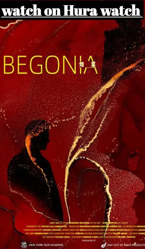 Begonia
