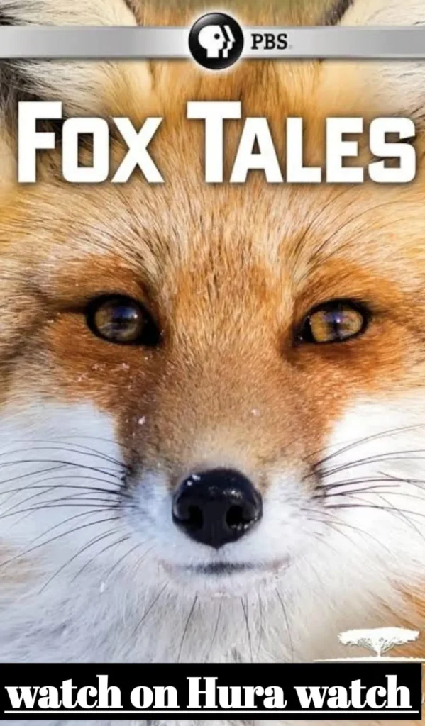 Wild Foxes 1 Wild Foxes